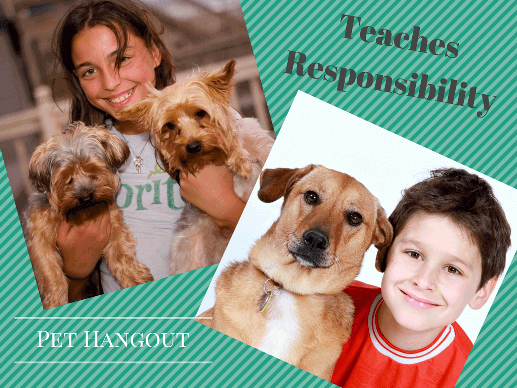 Youth with dogs teaches responsibility