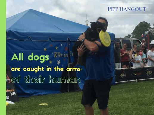 All dogs are caught in their trainers arms at the end of their performance