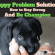 Puppy Problem Solutions How to Stay Strong and Be Champion