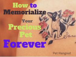 How to Memorialize Your Precious Pet Forever
