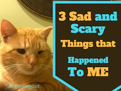 3 Sad and Scary Things That Happened To Me