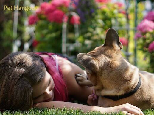 Dogs can show great love to their humans.