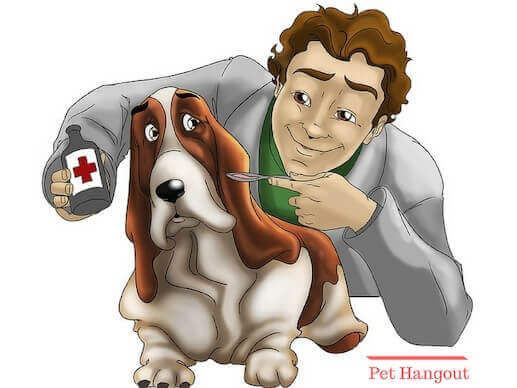 Medicine can give your dog bad diarrhea.