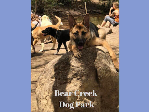 Bear Creek Dog Park