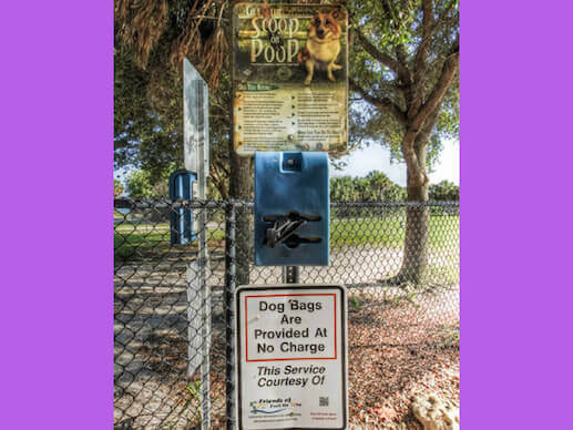 Poop sign at Fort DeSoto Paw Playground.